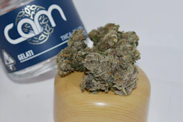 CAM | GELATI | FLOWER | 3.5G