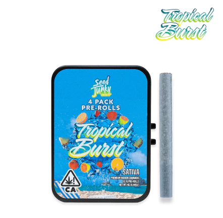 Seed Junky - 4pk - Tropical Burst - 4g (S) - Seed Junky Main Image