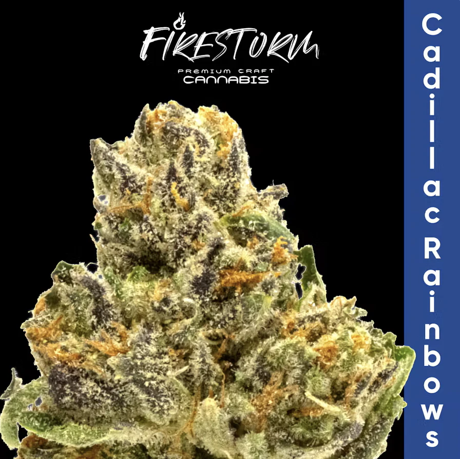 Firestorm - Flower | Cadillac Rainbows Main Image