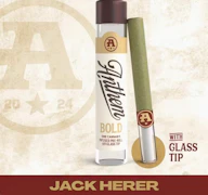 Jack Herer 1g Glass Tip Infused Preroll - Sativa | Anthem