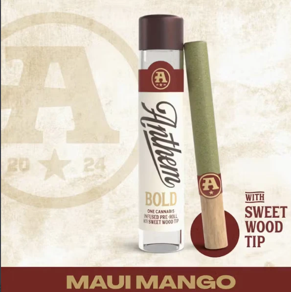 Anthem - Anthem Bold | Maui Mango | Wood-tip Main Image