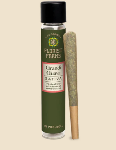 Florist Farms - Florist Farms | Preroll | Grandi Guava | 1G Main Image