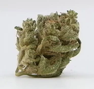1 - Fog Dog 3.5g v2