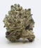 Product Preview Image 1