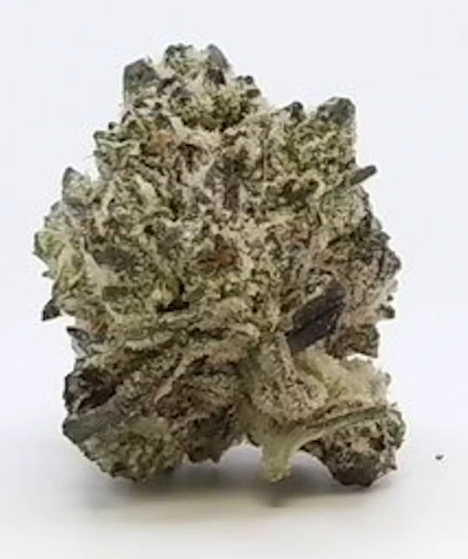 Trail Head Cannabis Co. - 3.5g Trailhead Jar-IX | Trailhead | Octane Mintz | 3.5g | 1ct Main Image