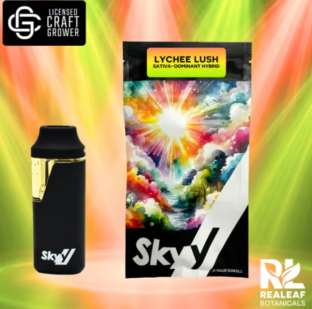 SKYY - Lychee Lush Disposable Vape - 2g Main Image
