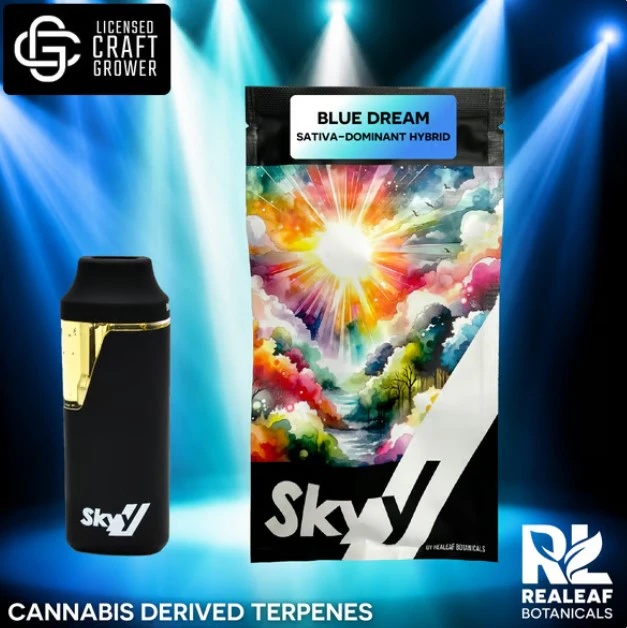 SKYY - Blue Dream Disposable Vape - 2g Main Image