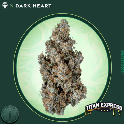 Dark Heart Collection - Dark Heart Collection Whole Flower 3.5g Titan Express (S) 01989 TC 38.061% Main Image