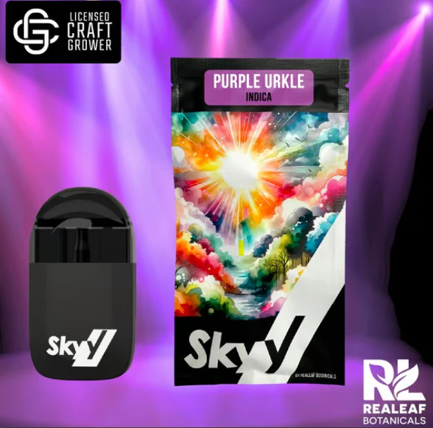 SKYY - Purple Urkle Disposable Vape - 3g Main Image