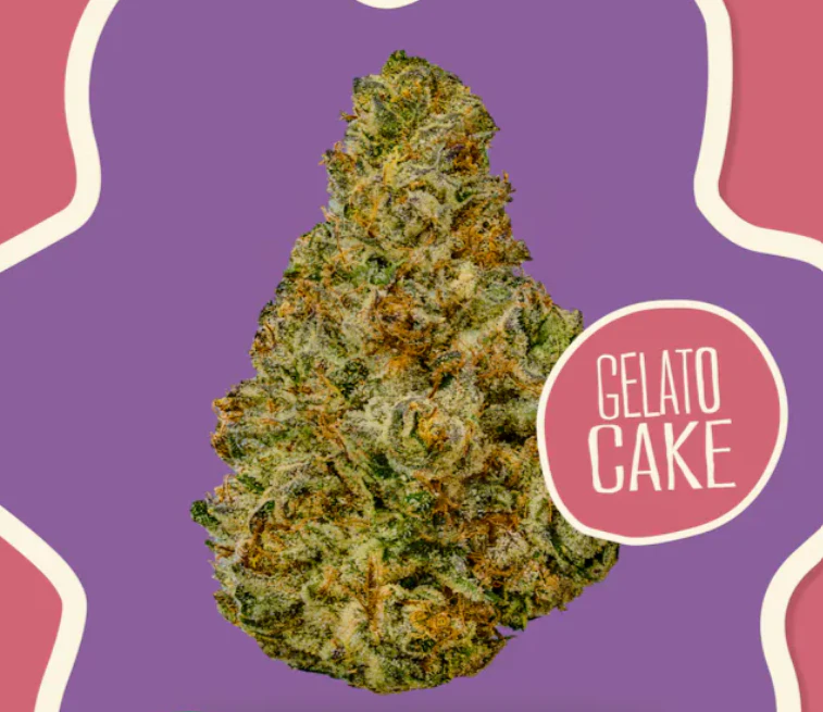 District Cannabis - 3.5g - Gelato Cake - Hybrid Main Image