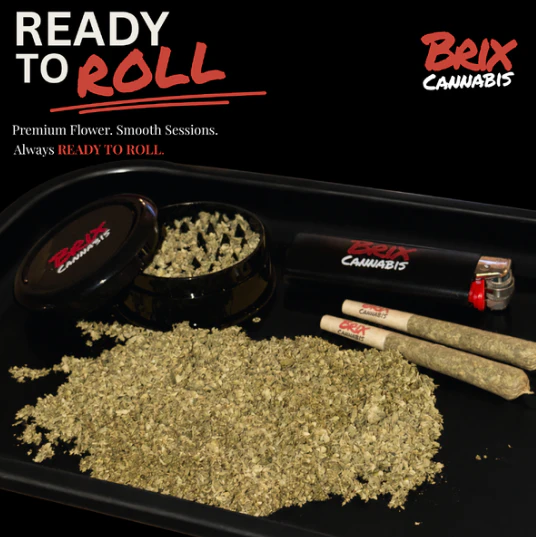 BRIX - Bananaconda Ready to Roll 7g (H) 00597 Main Image