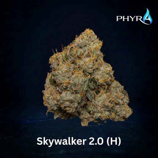 Phyra - Skywalker 2.0 Whole Flower 3.5g (H) 00664 Main Image