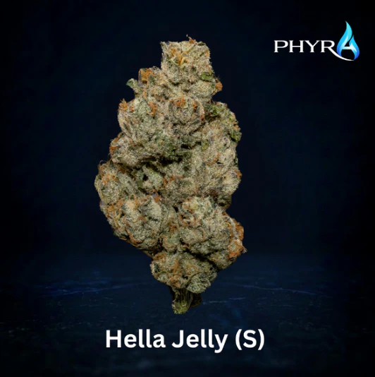 Phyra - Hella Jelly Whole Flower 3.5g (S) 00666 Main Image