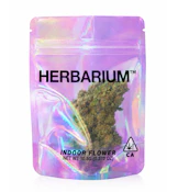 Herbarium | Peachy Rings | Hybrid Indica 10.5g