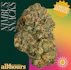 Product Preview Image 1