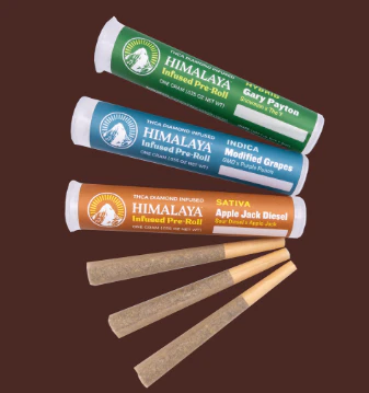 HIMALAYA - HIMALAYA | APPLE TARTZ - INFUSED | PREROLL | 1G Main Image