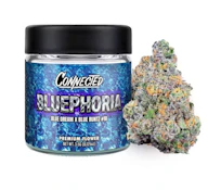 [Connected] Indoor Flower - 3.5g - Bluephoria(S/H)