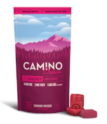 Camino - Forest Berry - 100mg Chews