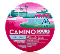 Camino - Watermelon Spritz - 100mg Gummies