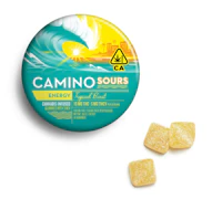 Camino - Tropical Burst - 2:1 Gummies
