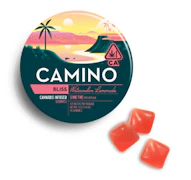 Camino - Watermelon Lemonade - 100mg Gummies