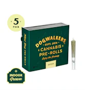 JACKS DELIGHT 5PK PREROLLS - DOGWALKERS - 1.75g