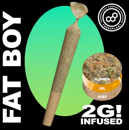 Theraplant - Carbon G 2g Fatboy 42162 Main Image
