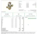 Product Preview Image 3