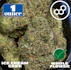 Product Preview Image 1