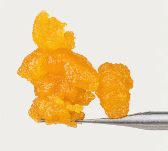 Raw Garden - Raw Garden - 1g Live Resin - Sherbert Haze Main Image