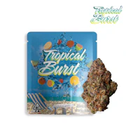 Tropical Burst - 3.5g (S) - Seed Junky