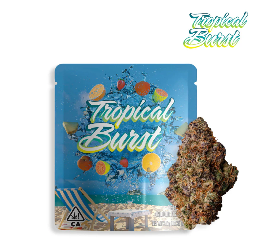 Seed Junky - Tropical Burst - 3.5g (S) - Seed Junky Main Image
