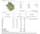 Product Preview Image 3