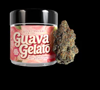 GUAVA GELATO FLOWER - ELECTRALEAF - 3.5g
