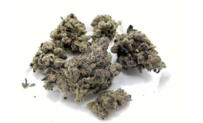 Gas Face | 3.5g A Buds | TAX INCLD