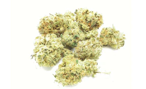 Angry Agave | 3.5g A Buds | TAX INCLD