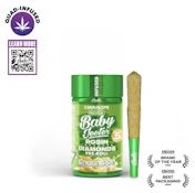 Baby Jeeter | Cannalope | 0.5G x 5 (2.5g) Preroll Pack