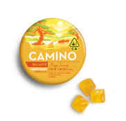 Camino Mango with CBD 5:5 Cannabis-Infused Gummies 00528