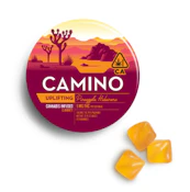 Camino Pineapple Habanero Cannabis-Infused Gummies 00535