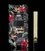 [Maven] Halos Infused Pre-roll - 1.9g - Paradiso Tropical