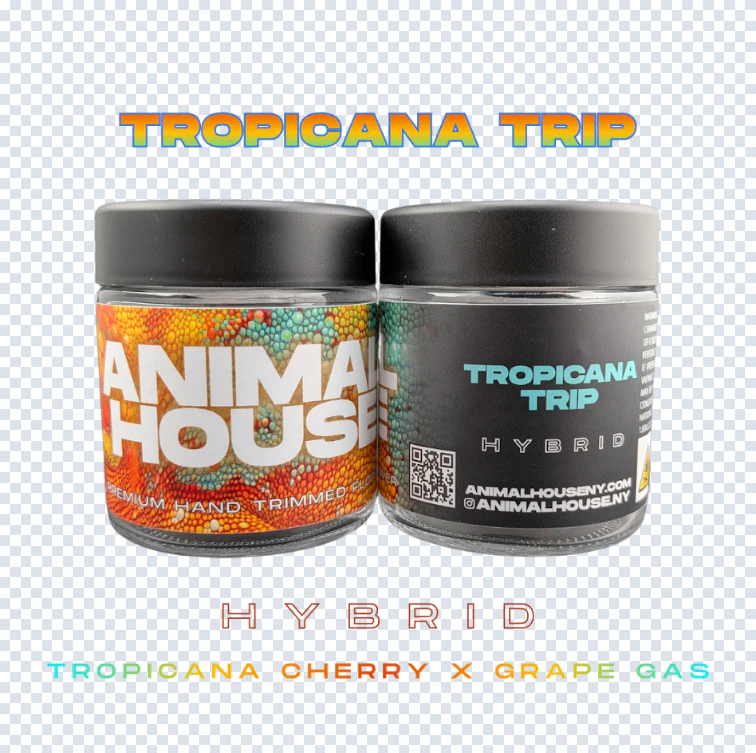 Animal House - Animal House - Tropicana Trip - 3.5G Flower Main Image