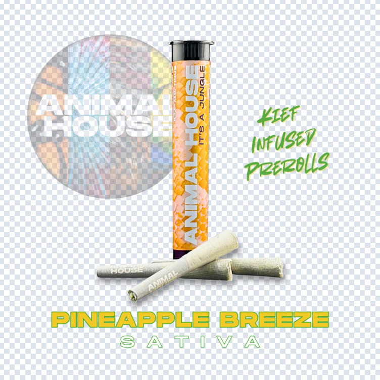 Animal House - Animal House - Pineapple Breeze - 3pk Kief-Infused Prerolls (1.5g) Main Image