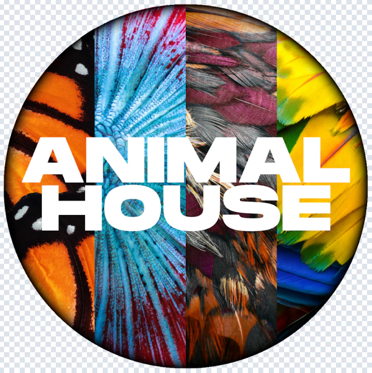 Animal House - Animal House - Grape Gluttony - 3pk Kief-Infused Prerolls (1.5g) Main Image