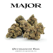Major - Permanent Gas - 3.5g