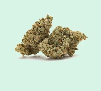 District Cannabis - 7g Berry Payton - Hybrid (Untrimmed Small Nugs) Main Image