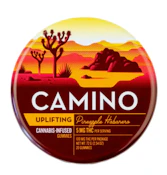Camino - Gummies - Pineapple Habanero - 20pk - 100mg