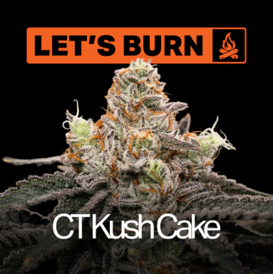 LET'S BURN - Let's Burn CT Kush Cake 3.5G 0100 Main Image