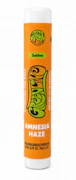 Green Line Preroll 1g Amnesia Haze