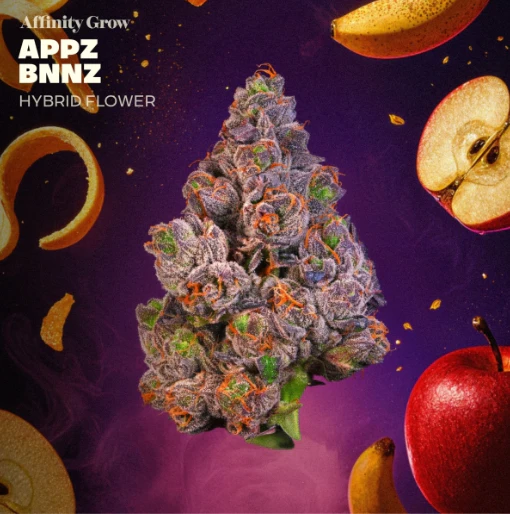 AFFINITY - Appz Bnnz Flower H 01077 Main Image