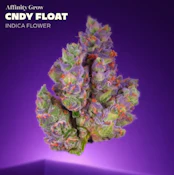 Cndy Float Flower I 01080